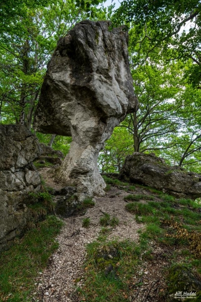 Kojšovský budzogáň 2