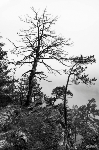 Mlhavé ráno na Kozlovských skalách 5