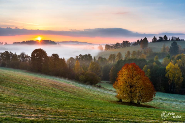 Mlhavé údolí s barevnou třešní