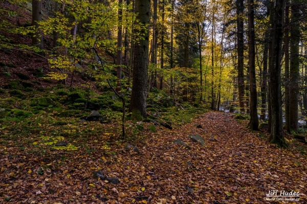 Podzimní cesta Šilinkovým dolem