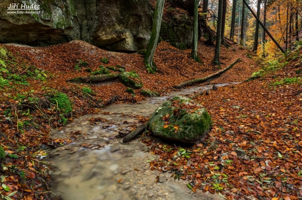 Podzimní Pivnická rokle 1