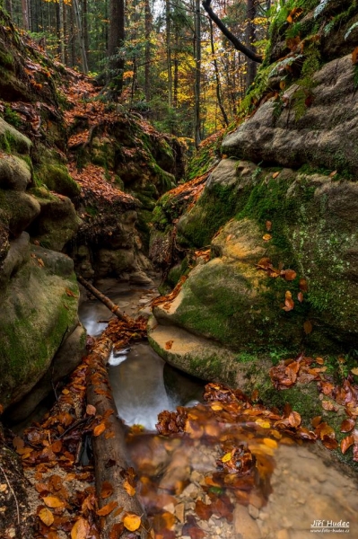 Podzimní Pivnická rokle 2