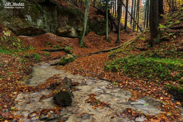 Podzimní Pivnická rokle