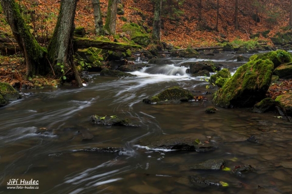 Podzimní údolí řeky Doubravy 16