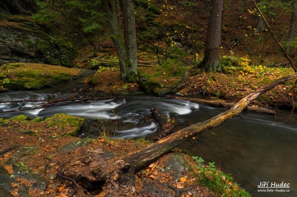Podzimní údolí řeky Doubravy 4
