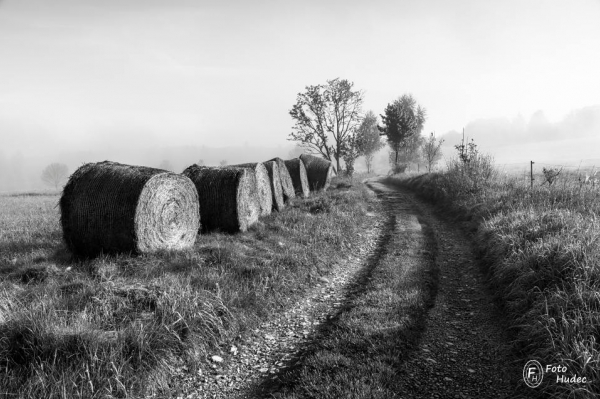 Ranní cesta s balíky černobílá