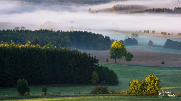 Ranní mlhy v údolí Skalského potoka