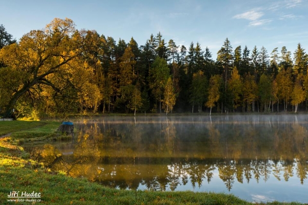 Ranní opar nad Milovským rybníkem