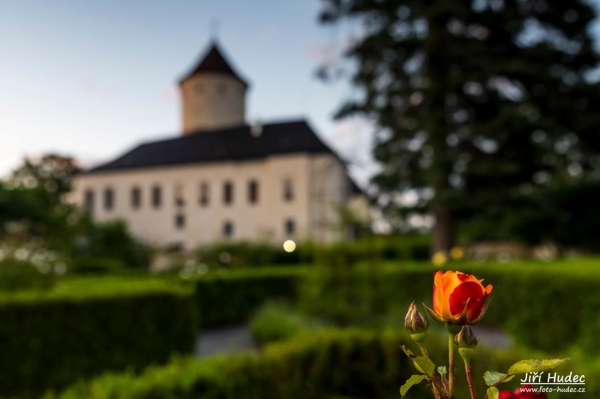 Růže před hradem Rychmburk