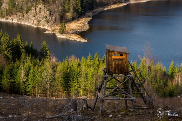 Strážce Chudobínské borovice