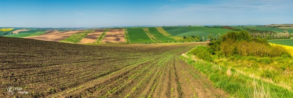 Strážce Moravského Toskánska 2