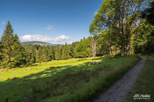 Šumava - Světlohorská cesta