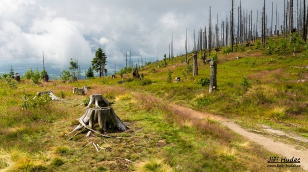 Šumava - Trojmezí