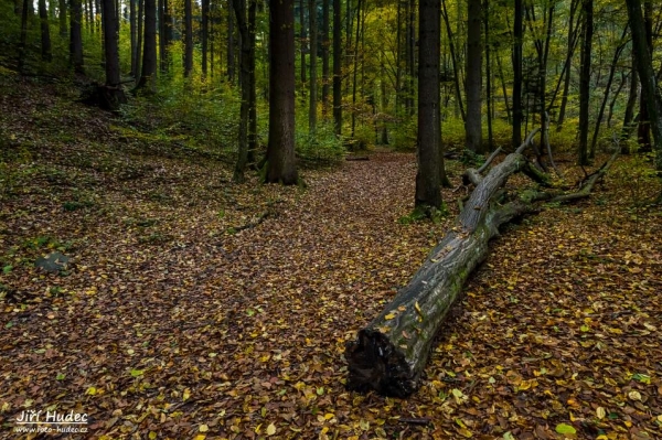 Torzo v Šilinkově dole