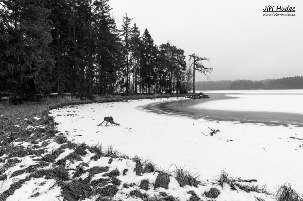 Zimní bažiny Medlovského rybníka 1