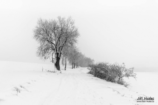 Zimní cesta od Vojtěchova